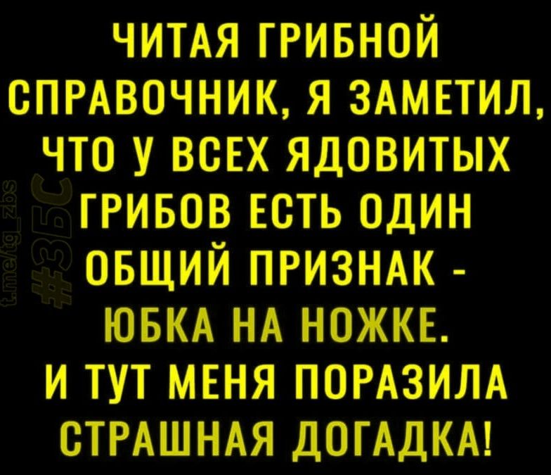 ЧИТАЯ ГРИБНОЙ СПРАВОЧНИК, Я ЗАМЕТИЛ, ЧТО У ВСЕХ ЯДОВИТЫХ ГРИБОВ ЕСТЬ ОДИН ОБЩИЙ ПРИЗНАК - ЮБКА НА НОЖКЕ. И ТУТ МЕНЯ ПОРАЗИЛА СТРАННАЯ ДОГАДКА!