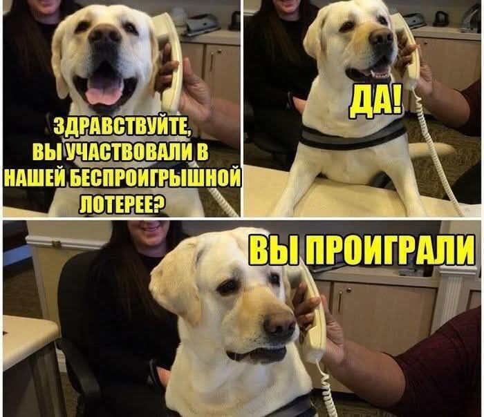 ЗДРАВСТВУЙТЕ, ВЫ УЧАСТВОВАЛИ В НАШЕЙ БЕСПРОЙИГРЫШНОЙ ЛОТЕРЕЕ?
ДА!
ВЫ ПРОИГРАЛИ