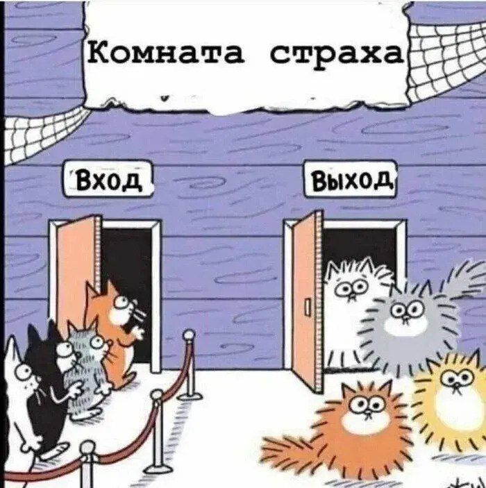 Комната страха
Вход  Выход