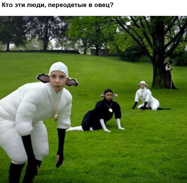 Кто эти люди, переведыеые в овец?