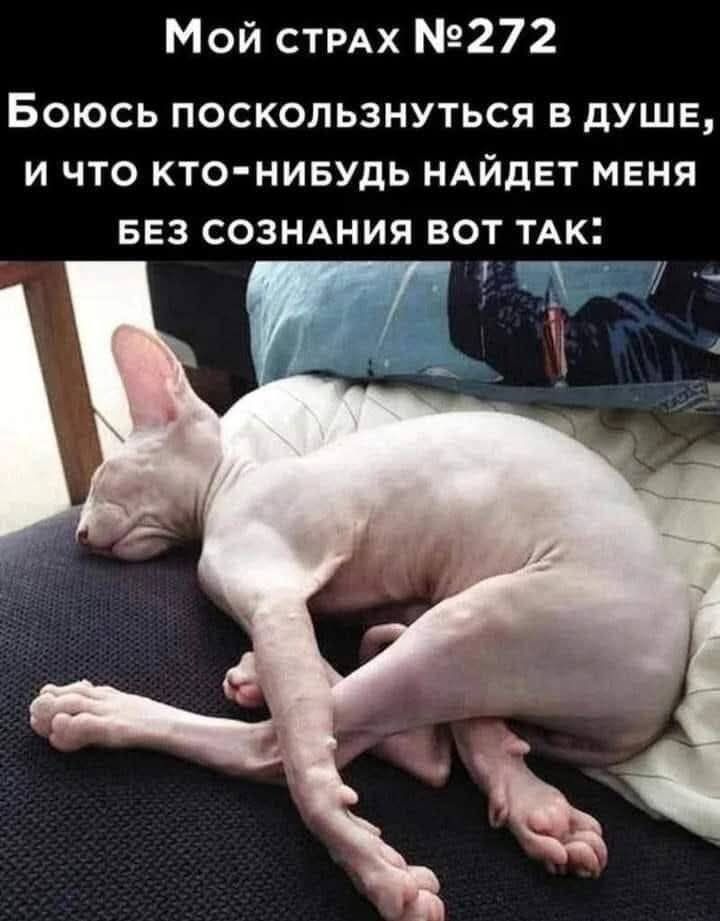 Мой страх №272
Боюсь поскользнуться в душе, и что кто-нибудь найдёт меня без сознания вот так: