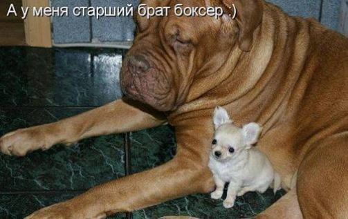 А у меня старший брат боксёр :)