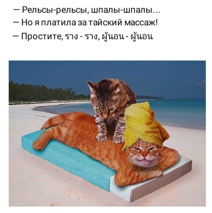 — Рельсы-рельсы, шпалы-шпалы…
— Но я платила за тайский массаж!
— Простите, รง - รง, ผู้อน - ผู้อน