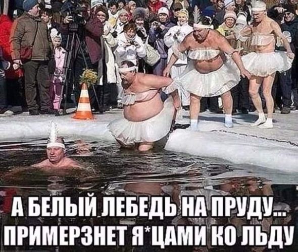 А БЕЛЫЙ ЛЕБЕДЬ НА ПРУДУ... ПРИМЕРЗНЕТ ЯЙЦАМ КО ЛЬДУ