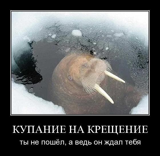 КУПАНИЕ НА КРЕЩЕНИЕ ты не пошёл, а ведь он ждал тебя