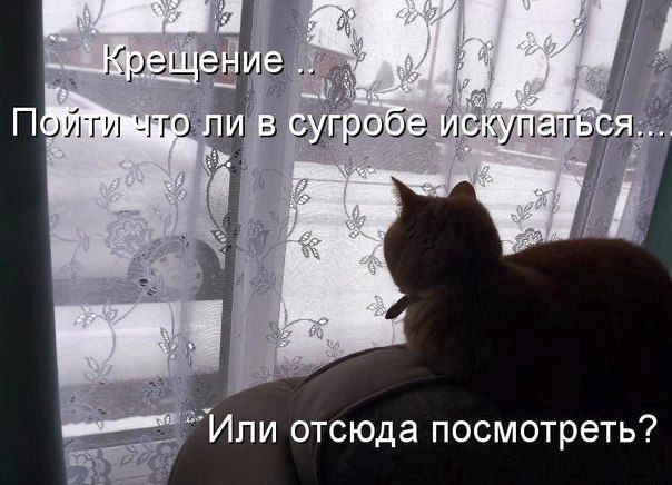 Крещение .. Пойти что ли в сугробе искупаться... Или отсюда посмотреть?
