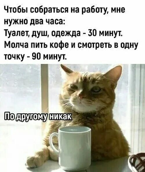 Чтобы собраться на работу, мне нужно два часа:\nТуалет, душ, одежда - 30 минут.\nМолча пить кофе и смотреть в одну точку - 90 минут.\nПо-другому никак