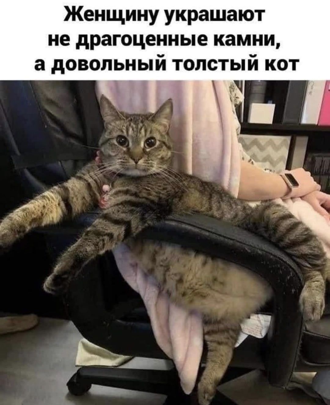 Женщину украшают не драгоценные камни, а довольный толстый кот