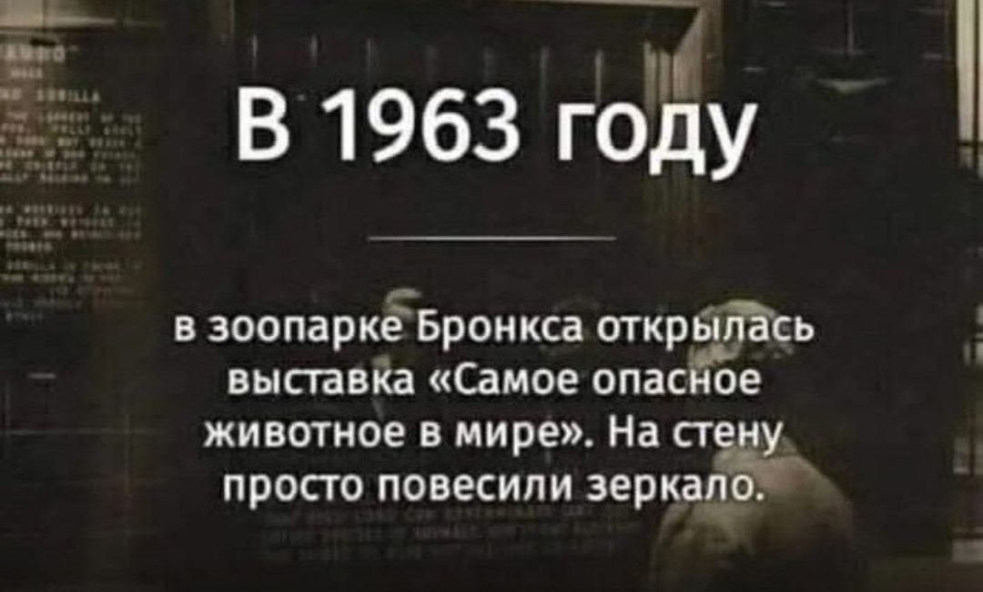 В 1963 году

В зоопарке Бронкса открылась выставка «Самое опасное животное в мире». На стену просто повесили зеркало.