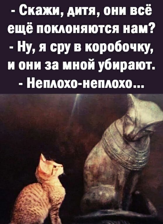 - Скажи, дитя, они всё ещё поклоняются нам?\n- Ну, я суру в коробочку, и они за мной убирают.\n- Неплохо-неплохо...