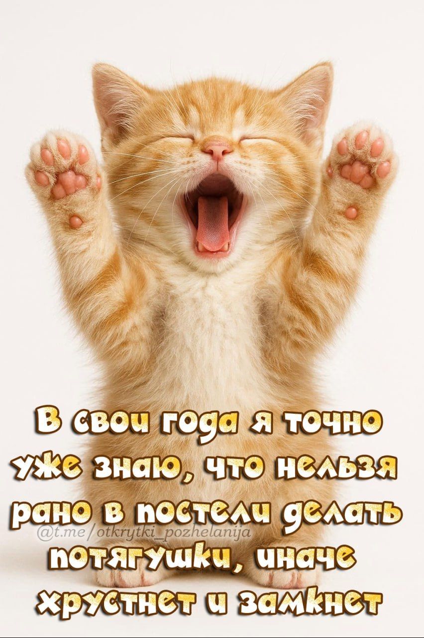В свои годы я точно знаю, что нельзя рано в постели делать потягушки, иначе хрустнет и замкнет