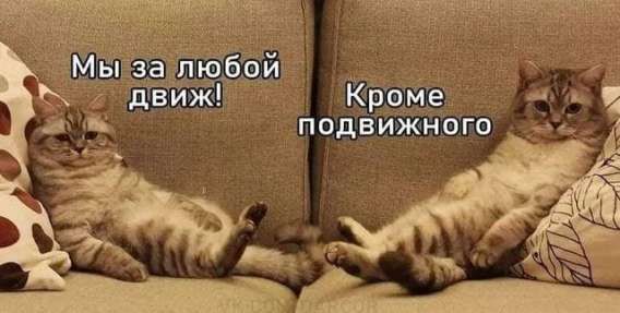 Мы за любой движ! 
Кроме подвижного