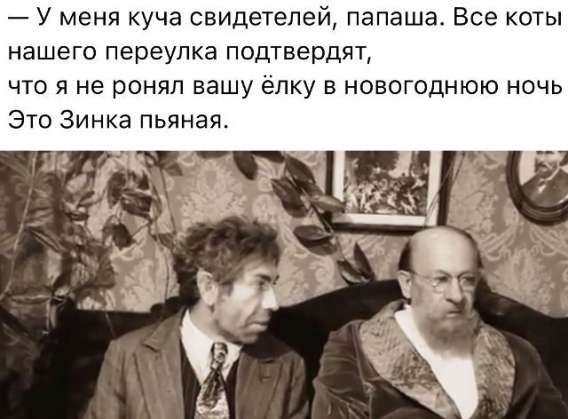 — У меня куча свидетелей, папаша. Все коты нашего переулка подтвердят, что я не ронял вашу ёлку в новогоднюю ночь. Это Зинка пьяная.