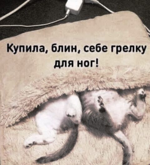 Купила, блин, себе грелку для ног!