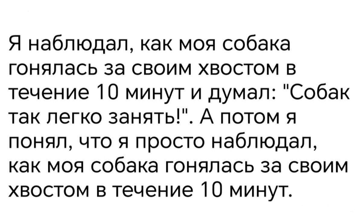 Я наблюдал, как моя собака гонялась за своим хвостом в течение 10 минут и думал: 