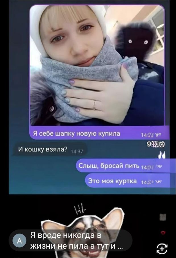 Я себе шапку новую купила
И кошку взяла?
Слыш, бросай пить
Это моя куртка
Я вроде никогда в жизни не пила а тут и ...