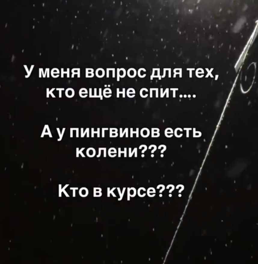 У меня вопрос для тех, кто ещё не спит...
А у пингвинов есть колени???
Кто в курсе???