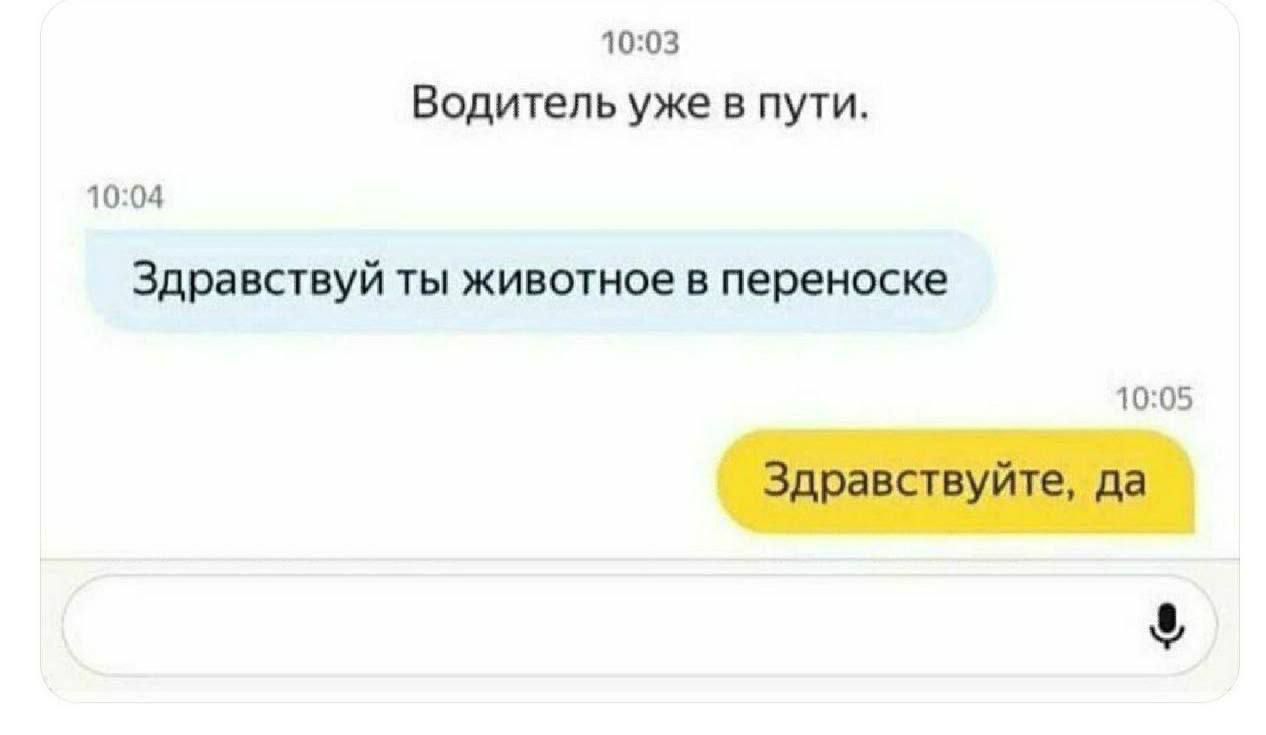 Водитель уже в пути.\nЗдравствуй ты животное в переноске\nЗдравствуйте, да