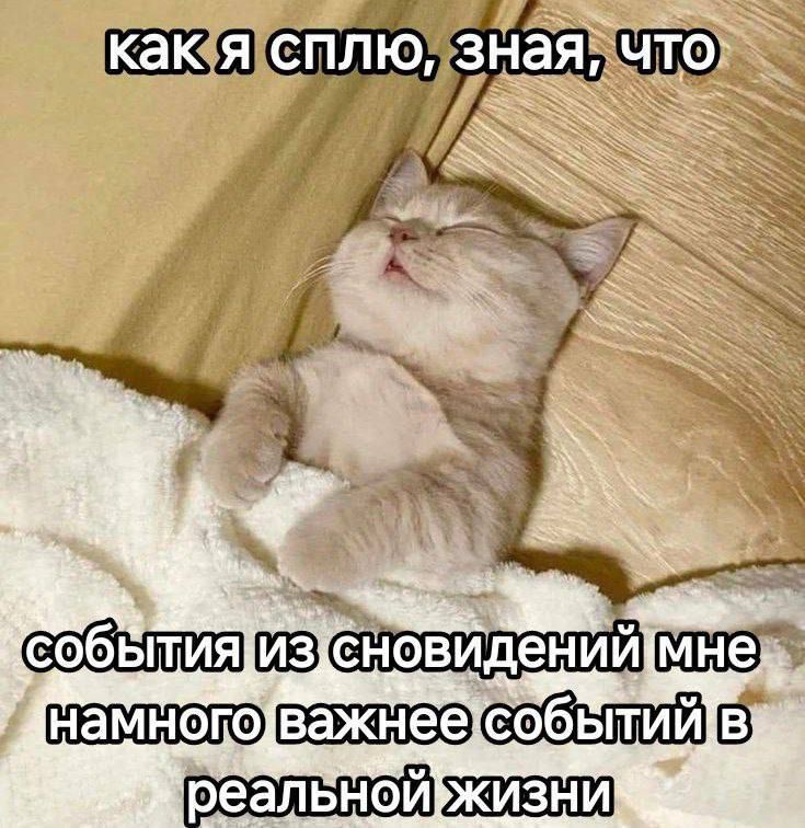 как я сплю, зная, что события из сновидений мне намного важнее событий в реальной жизни