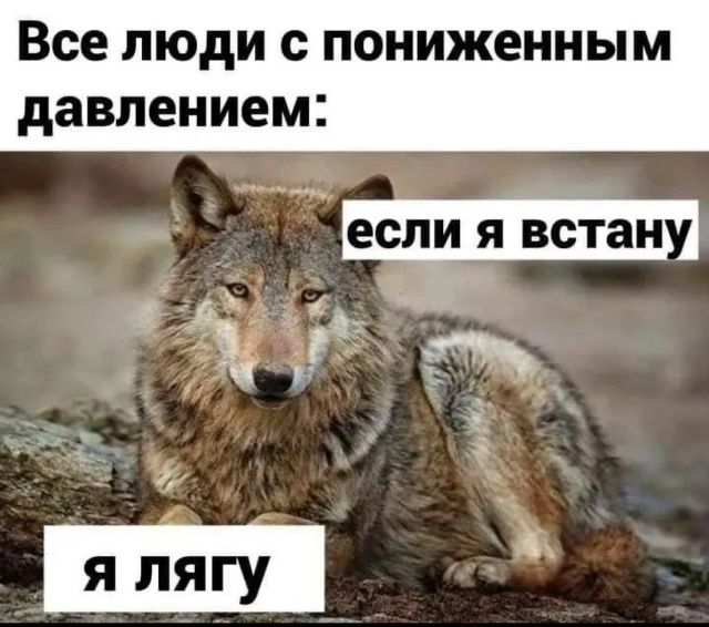 Все люди с пониженным давлением:
если я встану
я лягу