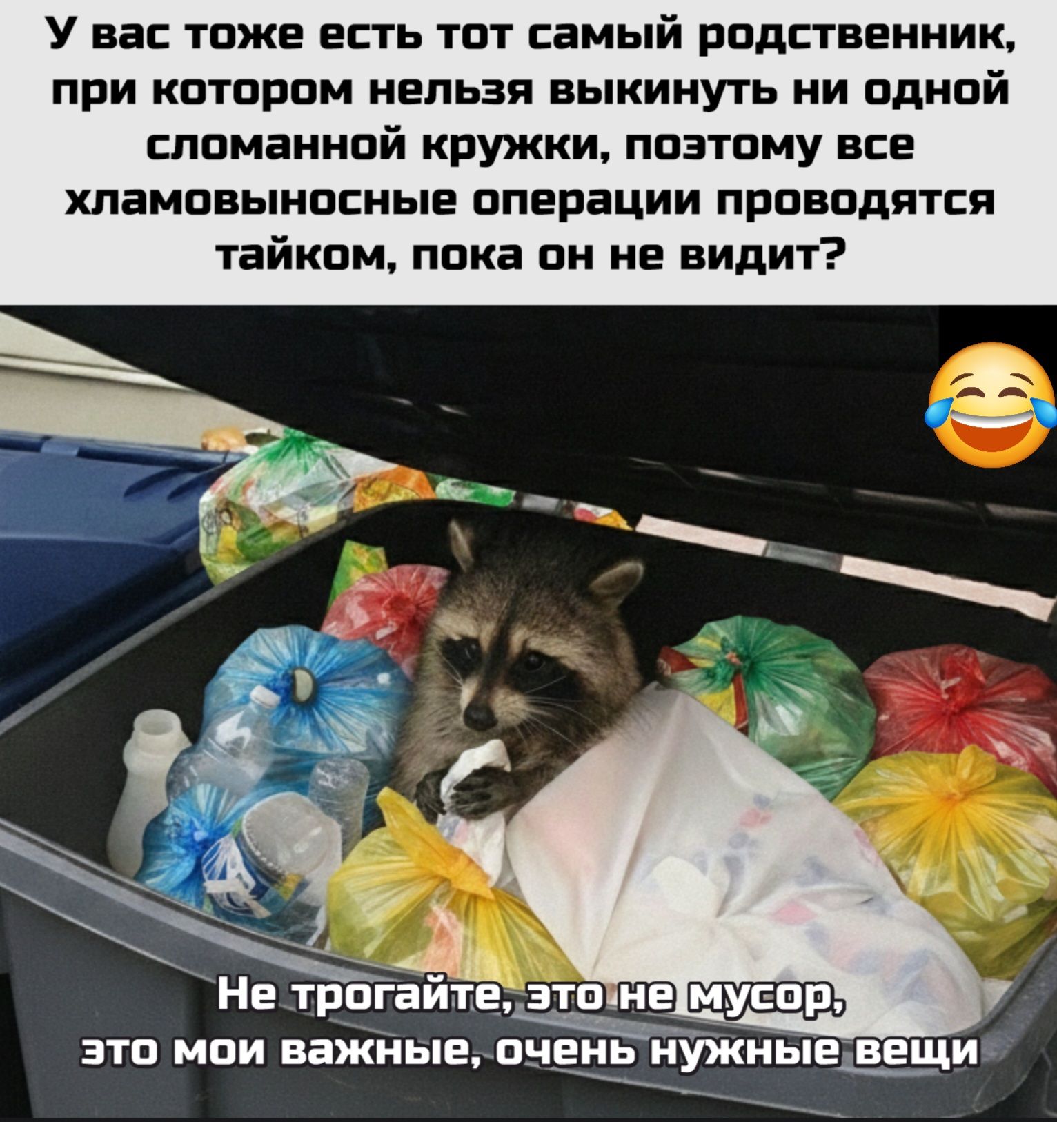 У вас тоже есть тот самый родственник, при котором нельзя выбросить ни одной сломанной кружки, поэтому все хламомысленные операции проводятся тайком, пока он не видит? Не трожьте, это не мусор, это мои важные, очень нужные вещи