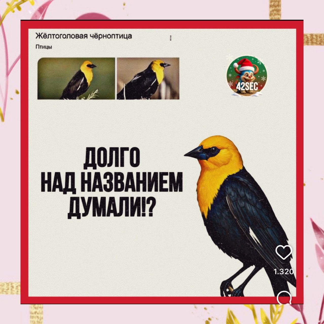 Жёлтоголовая чёрноптица
Птицы
ДОЛГО НАД НАЗВАНИЕМ ДУМАЛИ!?