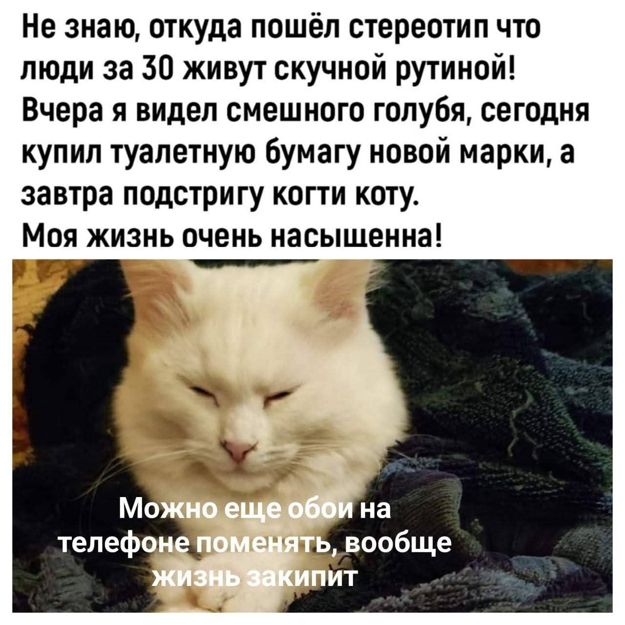 Не знаю, откуда пошёл стереотип что люди за 30 живут скучной рутиной! Вчера я видел смешного голубя, сегодня купил туалетную бумагу новой марки, а завтра подстригу когти коту. Моя жизнь очень насыщенная! Можно еще обои на телефоне поменять, вообще жизнь закипит