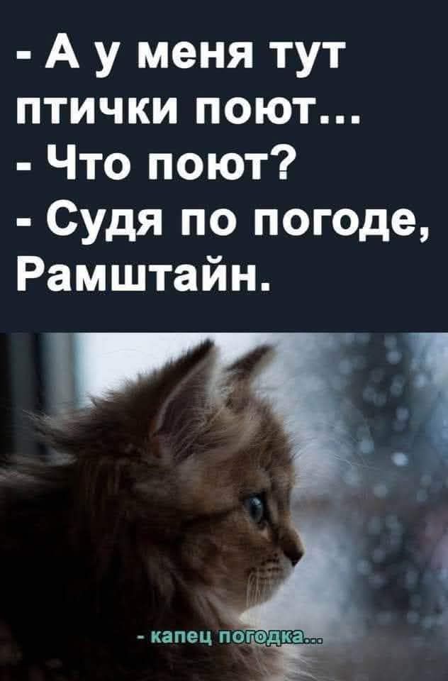 - А у меня тут птички поют...\n- Что поют?\n- Судя по погоде, Рамштайн.\nkapец погодка...
