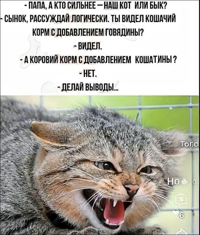 - Папа, а кто сильнее — наш кот или бык?
- Сынок, рассуждай логически. Ты видел кошачий корм с добавлением говядины?
- Видел.
- А коровий корм с добавлением кошатины?
- Нет.
- Делай выводы...