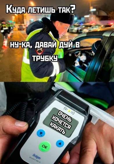Куда летишь так? Ну-ка, давай дуй в трубку
очень хочется какать