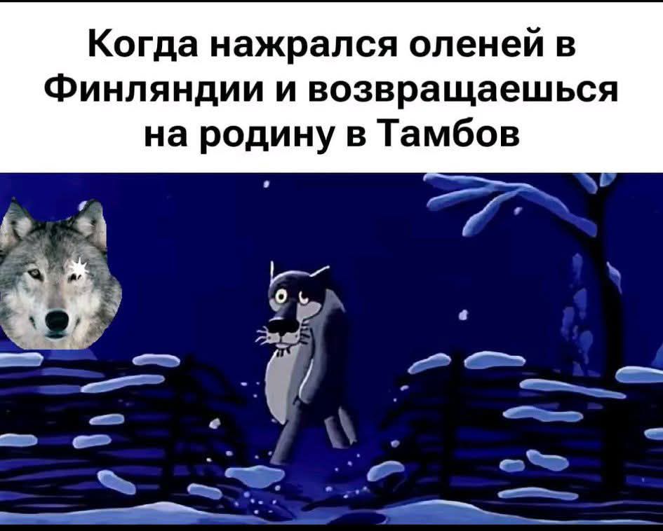 Когда нажрался оленей в Финляндии и возвращаешься на родину в Тамбов