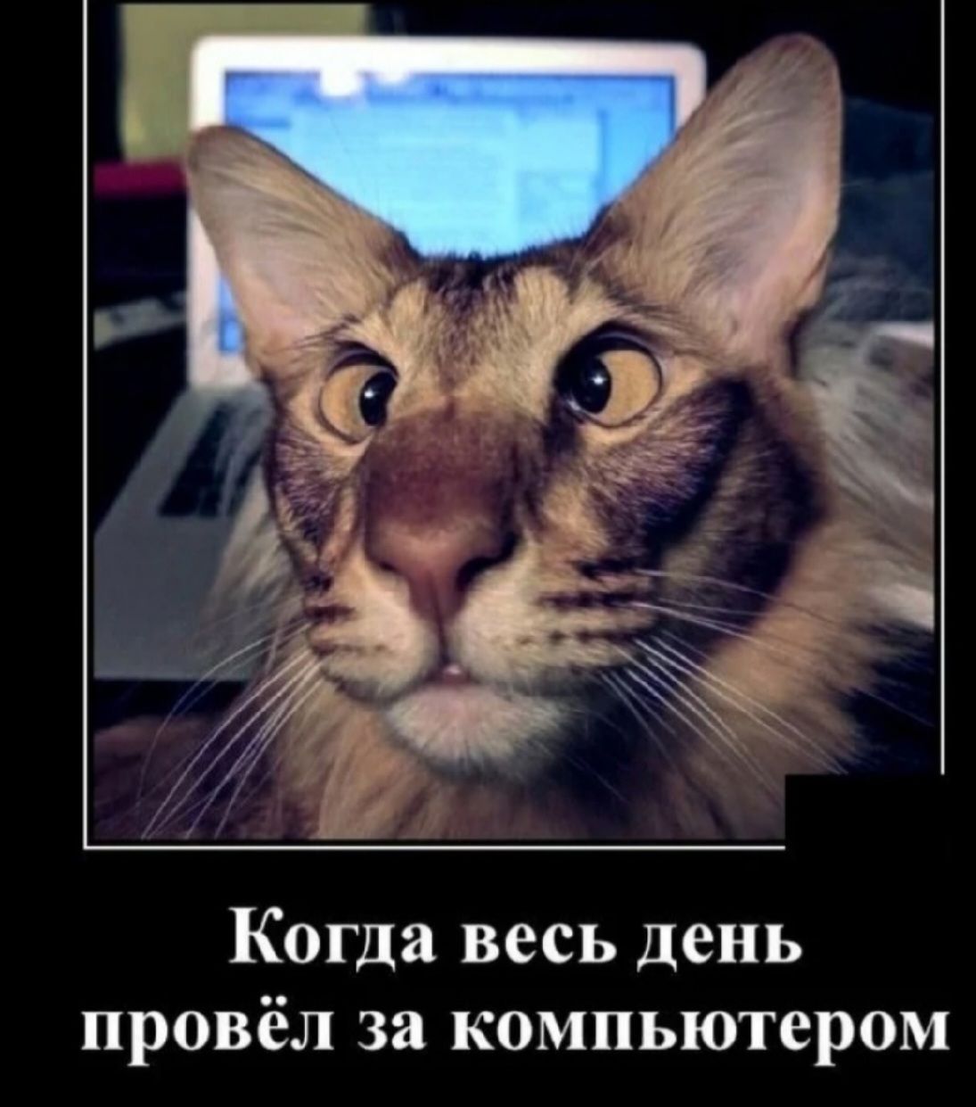 Когда весь день провёл за компьютером