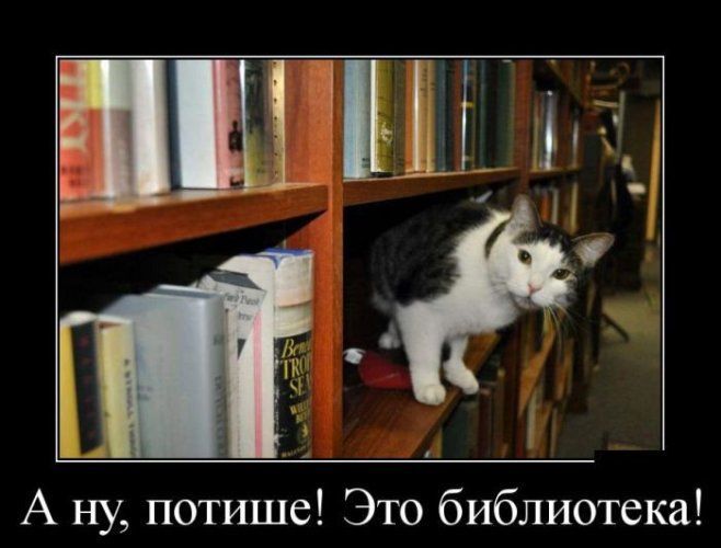 А ну, потише! Это библиотека!