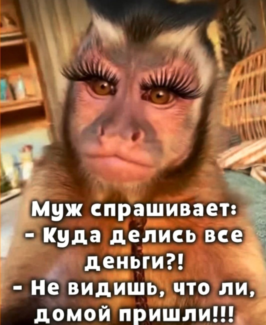Муж спрашивает: - Куда делись все деньги?! - Не видишь, что ли, домой пришли!!!