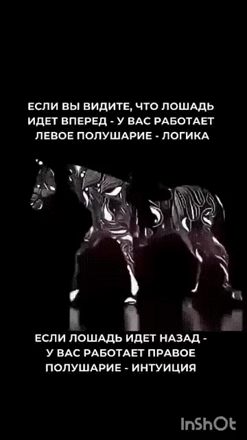ЕСЛИ ВЫ ВИДИТЕ, ЧТО ЛОШАДЬ ИДЕТ ВПЕРЁД - У ВАС РАБОТАЕТ ЛЕВОЕ ПОЛУШАРИЕ - ЛОГИКА
ЕСЛИ ЛОШАДЬ ИДЕТ НАЗАД - У ВАС РАБОТАЕТ ПРАВОЕ ПОЛУШАРИЕ - ИНТУИЦИЯ