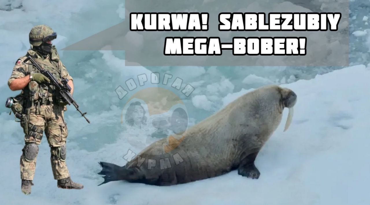 KURWA! SABLEZURY MEGA-BOBER!