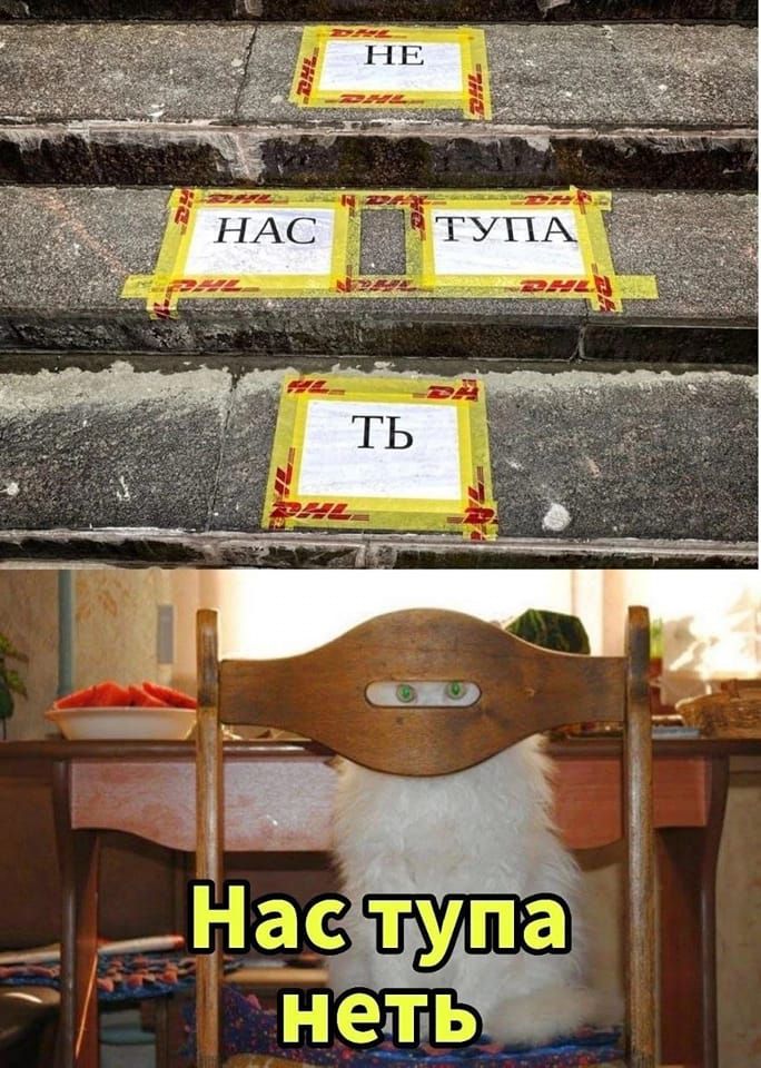 НЕ НАС ТУПА ТЬ Нас тупа неть