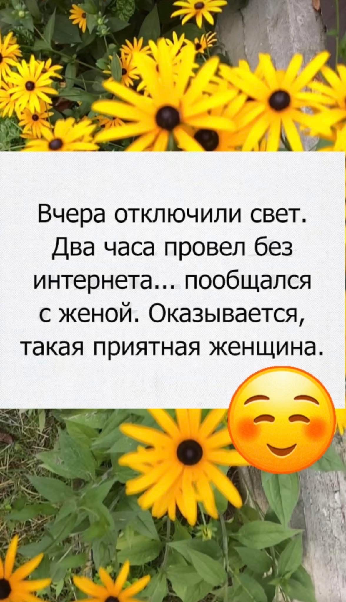 Вчера отключили свет. Два часа провел без интернета... пообщался с женой. Оказывается, такая приятная женщина.