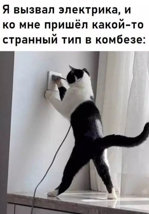 Я вызвал электрика, и ко мне пришёл какой-то странный тип в комбинезоне: