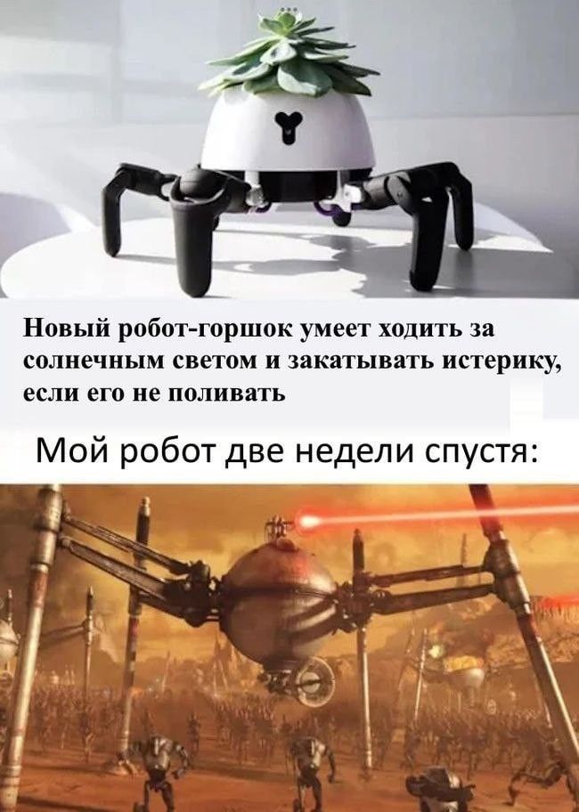 Новый робот-горшок умеет ходить за солнечным светом и закапывать истерики, если его не поливают
Мой робот две недели спуска: