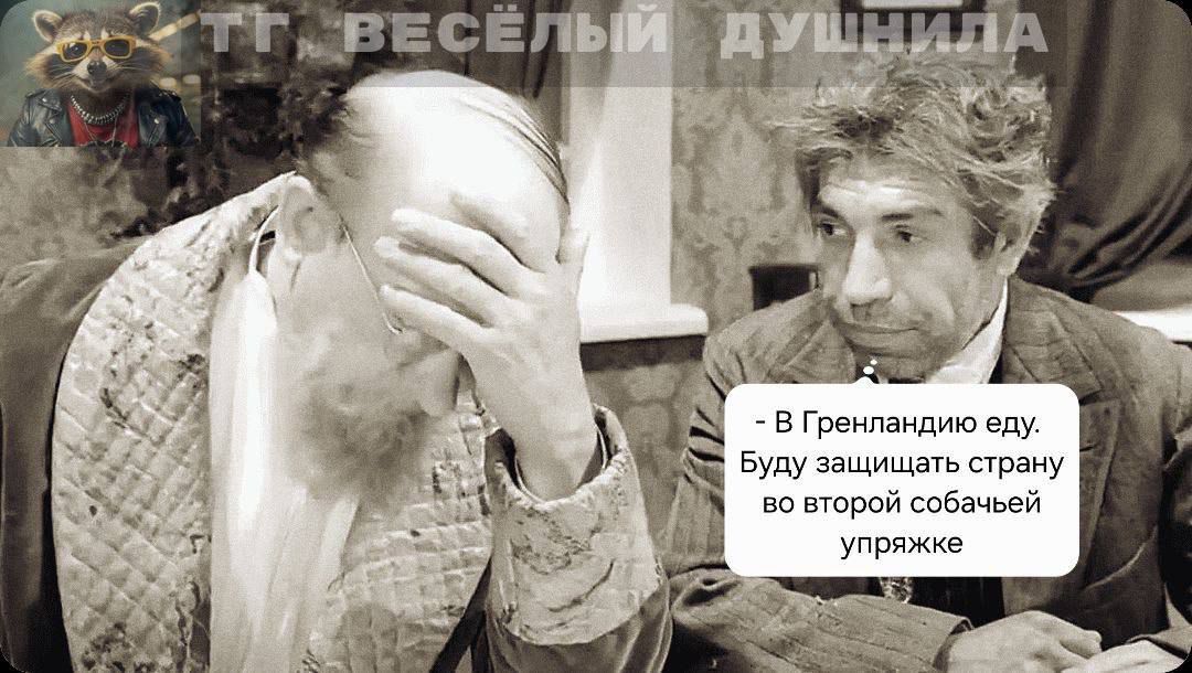 В Грецию еду. Буду защищать страну во второй своей собачьей упражке