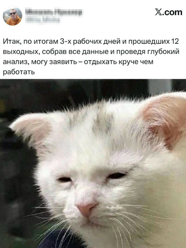 Итак, по итогам 3-х рабочих дней и прошедших 12 выходных, собрав все данные и проведя глубокий анализ, могу заявить – отдыхать круче чем работать