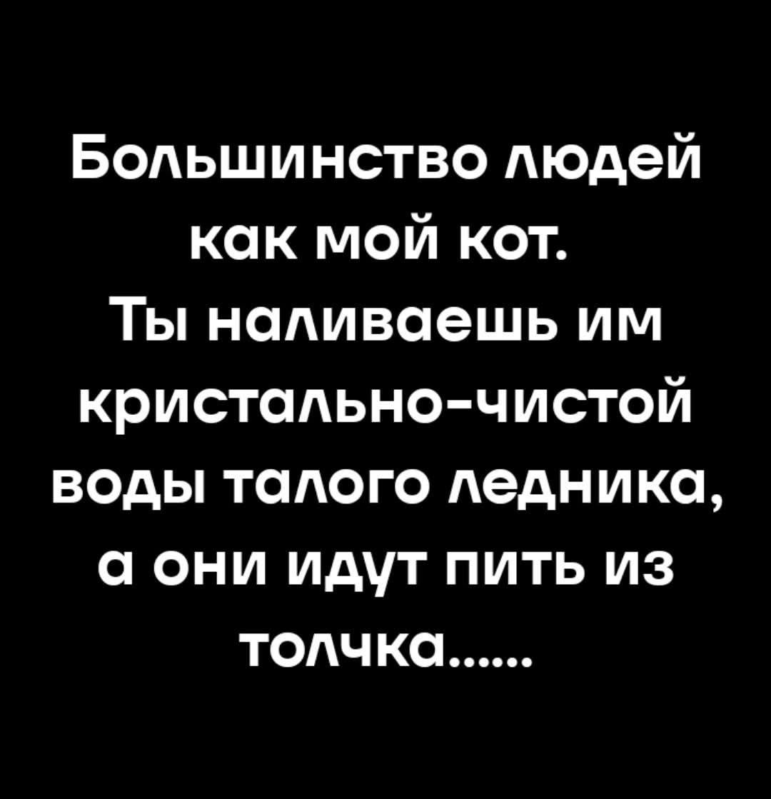 Большинство людей как мой кот. Ты наливаешь им кристально-чистую воду тающего ледника, а они идут пить из толчка......