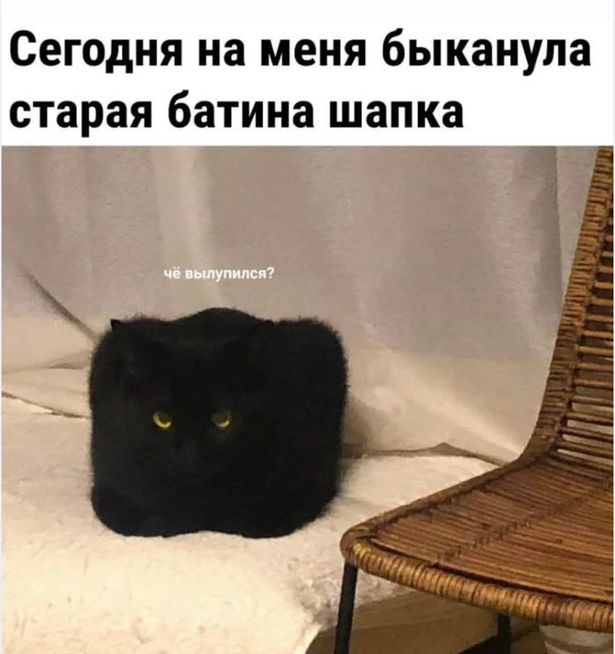 Сегодня на меня быканула старая батина шапка
чё выпулился?