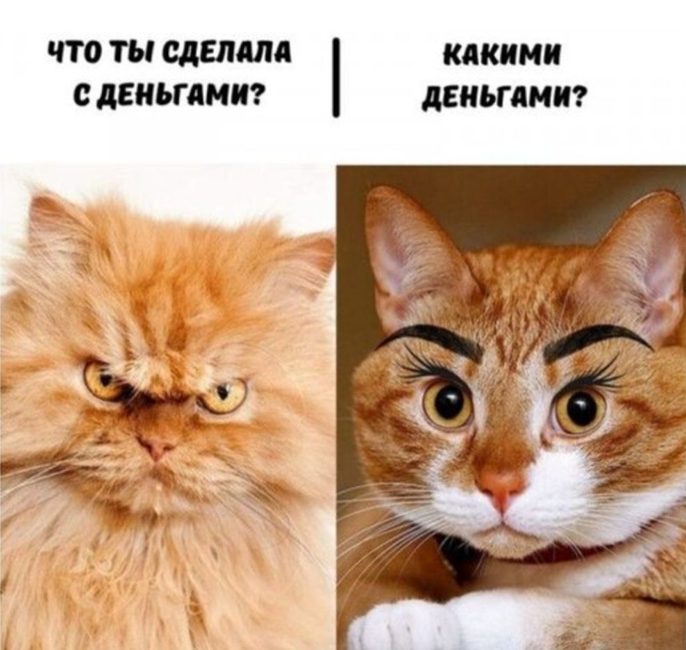 Что ты сделала с деньгами? 
Какими деньгами?