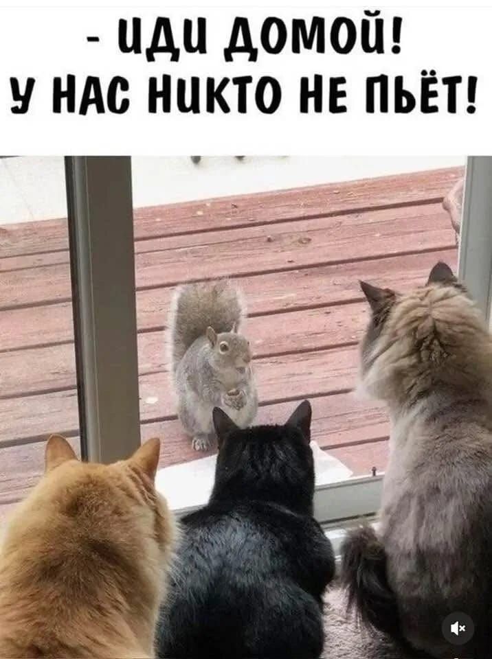 - ИДИ ДОМОЙ! У НАС НИКТО НЕ ПЬЁТ!