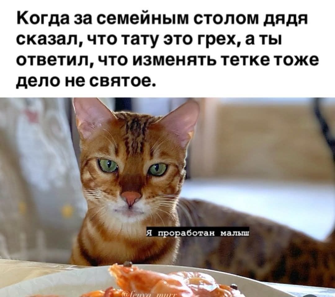 Когда за семейным столом дядя сказал, что тату это грех, а ты ответил, что изменять тетке тоже дело не святее.
Я проработал малыш