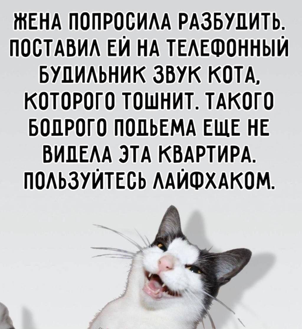 ЖЕНА ПОПРОСИЛА РАЗБУДИТЬ. ПОСТАВИЛ ЕЙ НА ТЕЛЕФОННЫЙ БУДИЛЬНИК ЗВУК КОТА, КОТОРОГО ТОШНИТ. ТАКОГО БОПРОГО ПОВЕМА ЕЩЕ НЕ ВИДЕЛА ЭТА КВАРТИРА. ПОЛЬЗУЙТЕСЬ ЛАЙФХАКОМ.