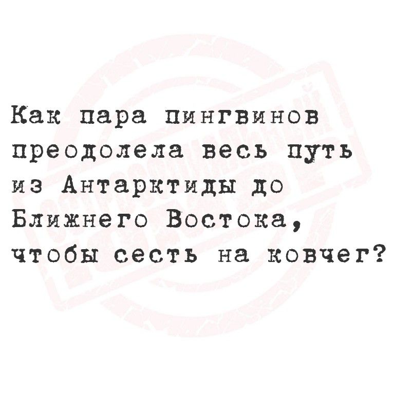 Как пара пингвинов преодолела весь путь из Антарктиды до Ближнего Востока, чтобы сесть на ковчег?