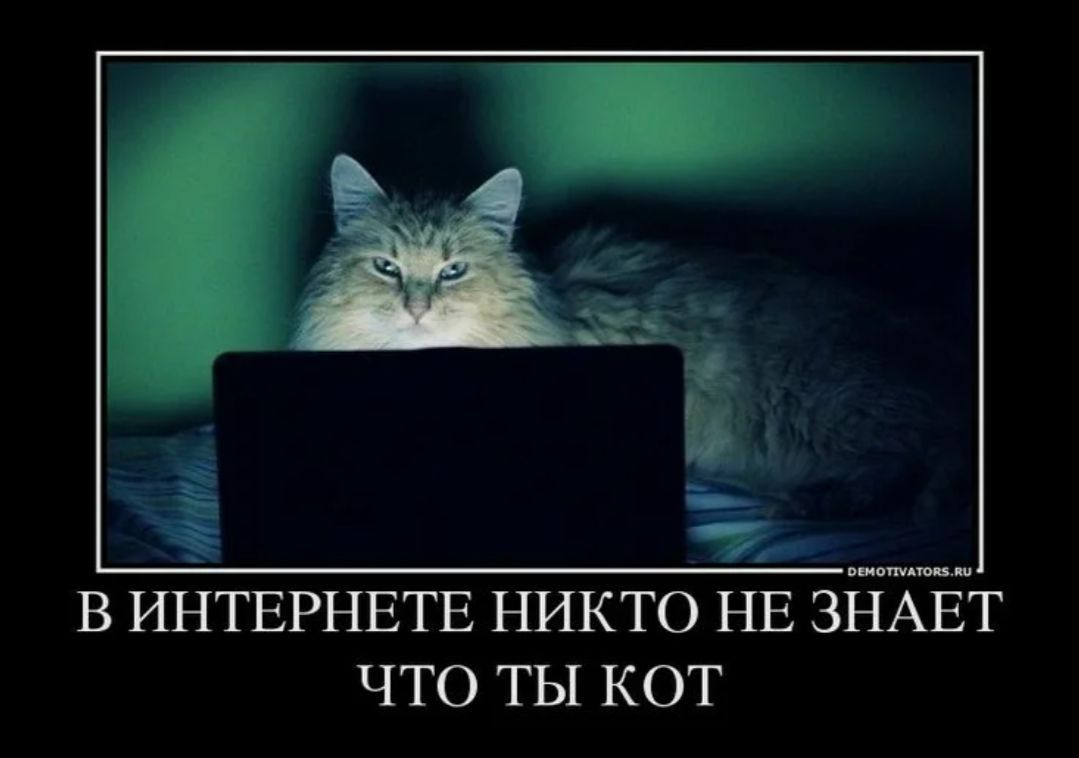 В ИНТЕРНЕТЕ НИКТО НЕ ЗНАЕТ ЧТО ТЫ КОТ
